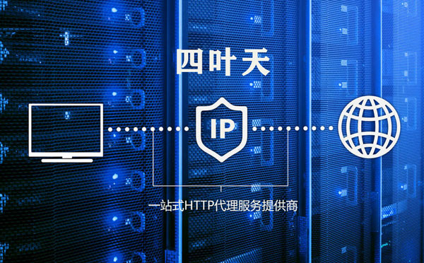 【巴音郭楞代理IP】代理IP的主要用途和使用注意事项